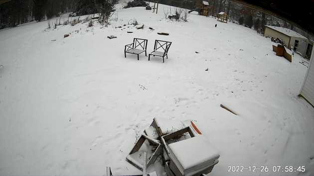 Snow from our backyard web cam
